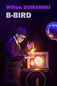 B-BIRD